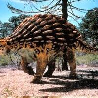 25-jenis-dinosaurus-dan-keunikannya