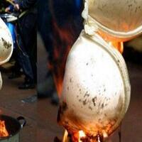 bakar-bra-anda-segera-ini-yang-ilmuwan-temukan