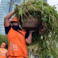 sosok-di-balik-bersihnya-kali-di-belakang-ltc-glodok