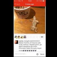 makan-tiramisu-di-holycow-dikira-chocolate-flakes-tak-tahunya-cicak