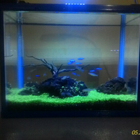 aquascape-for-everyone-learning-and-sharing---part-2