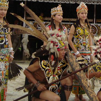 nenek-moyang-suku-dayak-berasal-dari-china-bro