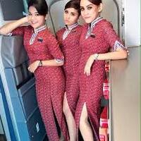 ngadu-ke-dprpramugari-lion-air-digoda-anggota-hewan
