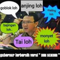 yang-dukung-ahok-orang-yang-hatinya-mirip-ahok-suka-maki-maki-orang