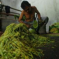 tarung-kampanye-pro-dan-anti-tembakau-di-linimasa