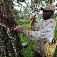 indonesia-di-pusaran-perbudakan-modern