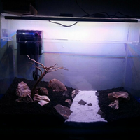 aquascape-for-everyone-learning-and-sharing---part-2