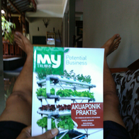 solusi-keterbatasan-lahan-pertanian-dan-sustainable-agriculture-indonesia-akuaponik