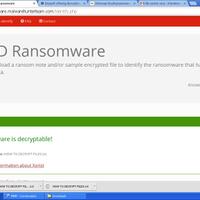 informasi-virusransomware-cryptolockercryptorbit-howdecryptbitcrypt--cryptodefense