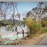 post-image