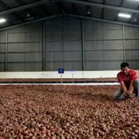 kenapa-harga-pangan-selalu-melonjak-jelang-lebaran