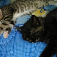 dear-diary--new-chapter---part-6