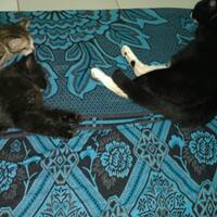 dear-diary--new-chapter---part-6