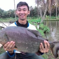 kfc-reg-solo---part-4