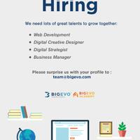 job-opportunity-bigevo---web-developer-mobile-developer-etc
