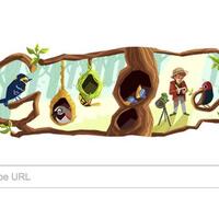 siapa-phoebe-snetsinger-yang-jadi-google-doodle-hari-ini