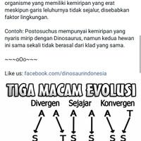 tidak-runtuhnya-teori-evolusi-dalam-20-jawaban---part-1