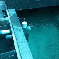 forum-koi-kaskus-part-5-semua-tentang-koi-masuk-kesini