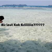 mengapa-air-laut-rasanya-asin-dan-berwarna-biru