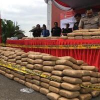 ratusan-ganja-dari-aceh-dimusnahkan-di-tangerang