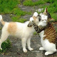 apa-yang-harus-dilakukan-di-bulan-ramadhan-ini