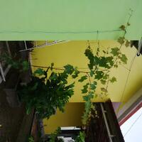 post-image