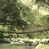 ini-dia-mitos-dan-sejarah-jembatan-akar