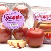 inilah-7-buah-buahan-dengan-rasa-paling-menipu