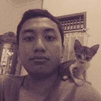 kucing-lokal-domestik-kampung---part-1