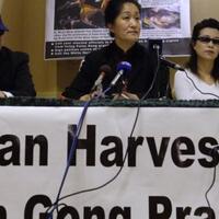 china-panen-organ-manusia-tahanan-falun-gong-sumber-pasokan