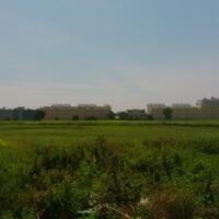 memburu-lurah-tarso-saksi-kunci-pembelian-lahan-cengkareng