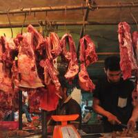 daging-sapi-sitaan-bakal-dilelang-dan-dibagikan