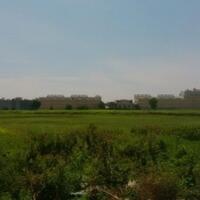 nama-baru-bermunculan-dalam-kasus-sengketa-lahan-di-cengkareng