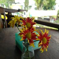 blackberry-priv-unofficial-thread---read-page-one-first---v1112015