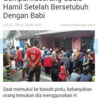 gemparseorang-gadis-hamil-setelah-bersetubuh-dengan-babi