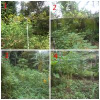 kampung-anggur----part-3