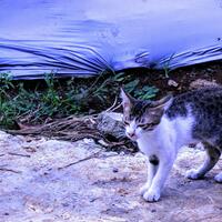 nongkrong-bareng-yang-masih-amatiran-dan-newbie---part-5