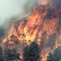 titik-api-muncul-kalteng-siaga-kebakaran-hutan