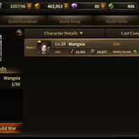 android-ios-heroes-of-incredible-tales-hit--like-pc-gameplay