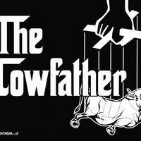 memburu-mafia-sejak-dari-aturan