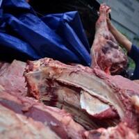 gagal-turunkan-harga-daging-sapi-dirjen-pkh-kementan-dicopot