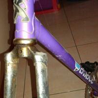 fixedfurious-pertanyaan-tentang-fixie-disini---part-1