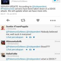 pigo-kena-ddos