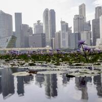 jurus-pemerintah-menangkal-rayuan-singapura-tahan-uang-wni