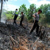 kenapa-polisi-menghentikan-penyidikan-kasus-pembakaran-hutan