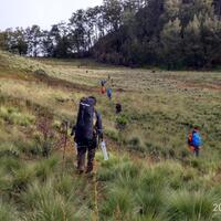 nyari-barengan-gn-argopuro-3088-mdpl-26-31-juli-2016-jalur-baderan---bremi