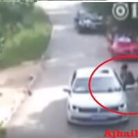 video-tragis-seorang-wanita-diterkam-harimau-di-kebun-binatang-china