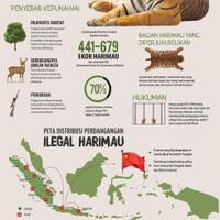jalur-perdagangan-ilegal-harimau-sumatera