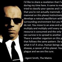 berbagai-pertanyaan-tentang-teori-evolusi-dan-penjelasannya