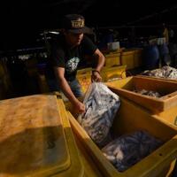 inflasi-juli-terkendali-terendah-dalam-lima-tahun